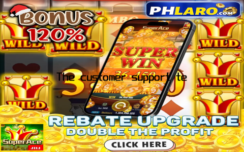 The customer support team was always on hand, ready to assist with any queries or issues